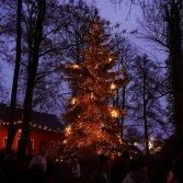 Weihnachtsmarkt Ladeburg