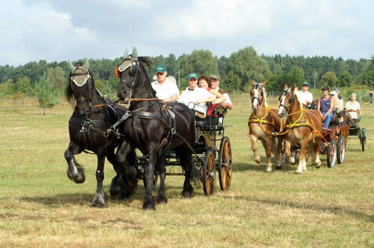 Ladeburger Kutschencorso